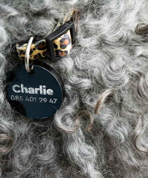 Dogtag lasergraveren